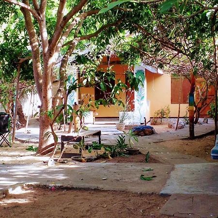 Little Bay Arugam Bay Hostel Buitenkant foto